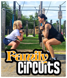 Family circuits